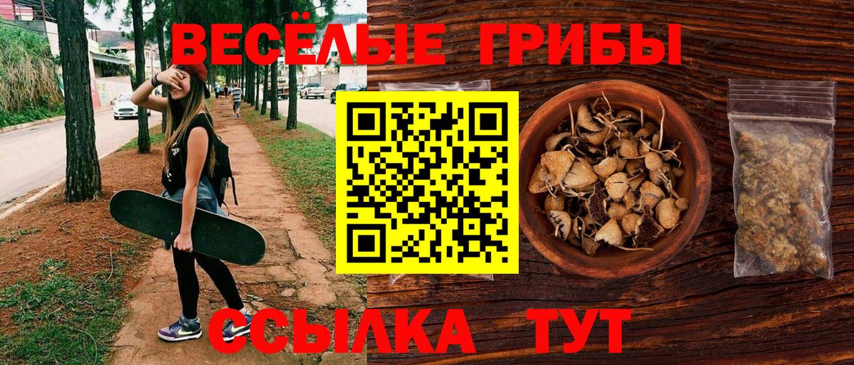 Псилоцибиновые грибы MAGIC MUSHROOMS  Вход с VPN  Южно-Сахалинск  купить закладку  Псилоцибиновые грибы мухоморы 